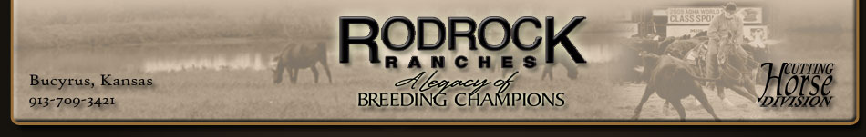 Rodrock Cutting Horses